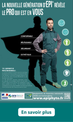 Visuel-EPIphyto